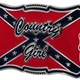 Illustration for article titled Walmart Is Pulling All Confederate Flag Merchandise From Shelves